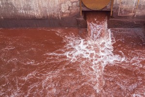 Producto bacteriano para biorremediación de hidrocarburos de petróleo - Product Image 4