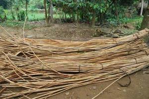 Rattan Peel Natural/Rattan Polish/ Cane Raw - Product Image 6