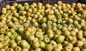 Pomme Fuji rouge, 2021, 14 pièces - Product Image 2