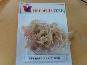 Vietnam Cottonii SeaWeed Fresh Export Grade Laver de Vietnam Entrega rápida Variedad rica en nutrientes - Product Image 4