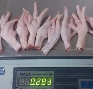 Pieds/Avant-branches de poulet surgelés de qualité supérieure à prix abordable, riches en vitamines, coupés et emballés sous vide, conformes aux normes internationales - Product Image 2