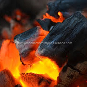 WOOD CHARCOAL CHARCOAL GRILL THE BEST IN MOSCOW RUSSIA - Product Image 1