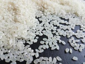 Riz Japonica Calrose à grains courts, texture moelleuse, riz blanc séché, 5% de brisures, marque VILACONIC du Vietnam - Product Image 5
