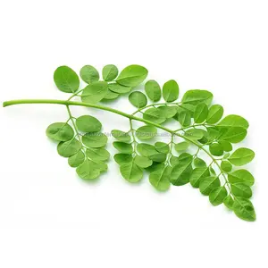 OEM üretim ve organik Moringa yağı ile yüksek kalite