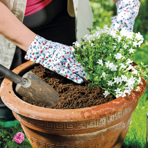 Conteneur et panier à compost - Product Image 4