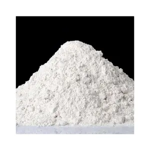 Best Price Calcium Carbonate - Limestone Powder - Rock Dust - Great Soil Amendment and Fertilizer with Endless Uses