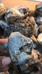 Top Most Quality Dendritic Agate Rough Gemstone Wholesale Natural Agate <b>Crystal</b> <b>Sphere</b> Healing Stones - Product Image 2