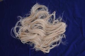 เส้นใยกล้วยธรรมชาติเหมาะสำหรับร้านค้าเส้นด้ายและไฟเบอร์และสำหรับโครงการโรงเรียนและวิทยาลัย - Product Image 2