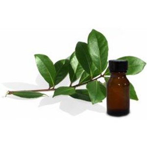 Diffuseur d'aromathérapie à ultrasons d'huiles essentielles de qualité cosmétique pure OEM 100% avec odeur naturelle de marque privée - Product Image 2