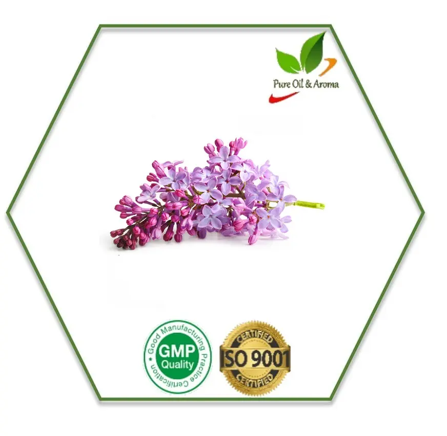 Exporter For Import Rose Geranium Essential Oil