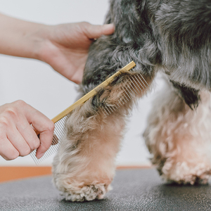 Peine Profesional para Perros Vila, Ecológico, de Acero Inoxidable, con Púas Redondas, Herramienta de Peluquería - Product Image 4