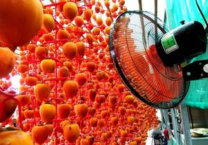 Caqui seco de alta calidad Hoshigaki - Product Image 5