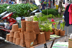 ECO FRIENDLY COCO BIO POTS GRAN CANTIDAD PRECIO AL POR MAYOR COCO FIBRA POTS - Product Image 5