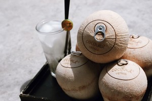 Coco Fresco Joven, Sabor Dulce Natural, Fácil de Abrir, para Bebidas, Servicio de Alimentos y Exportación - Product Image 4