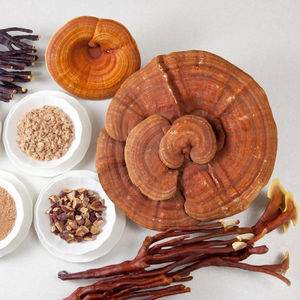 Hongo Reshi Rojo Orgánico, Forma Entera, de Vietnam, Vacaciones - Product Image 1