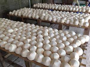 NOIX DE COCO FRAÎCHE ÉPLUCHÉE : Haute Qualité, PRIX RAISONNABLE Avec des Quantités en Gros en Provenance du Vietnam - Product Image 3