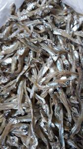 <b>Dried</b> Anchovy/ <b>Sprats</b> / Louis +84 943 481 858 - Product Image 5