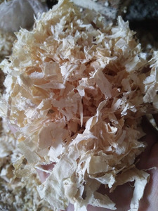 Ropa de cama de madera de pino para caballos, 100% - Product Image 6