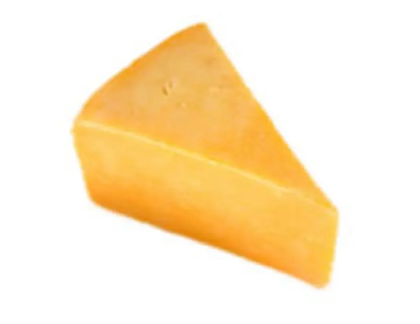 HALAL, queso CHEDDAR, queso GOUDA y MOZZARELLA queso procesado