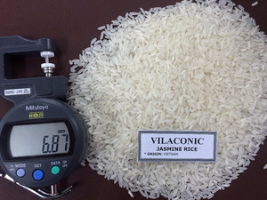 Arroz de jazmín de VIETNAM, 5% roto de fábrica, marca privada, precio popular + 84765149122 - Product Image 4