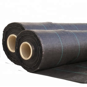 HOA HA Grand Fabricant De Géotextile En Polypropylène Tissé Noir Vietnam - Product Image 2