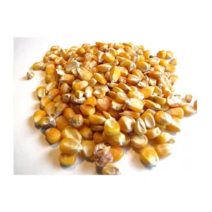 Оптовая цена, желтая кукуруза, Высококачественная Желтая Кукуруза для корма для животных