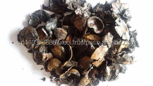 เศษกะลามะม่วง - วัตถุดิบเชื้อเพลิงของเวียดนาม/กากกะลามะม่วง - Product Image 3