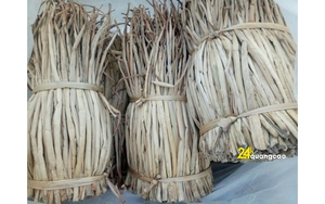 Cuerda de Jacinto de Agua Seca Barata Marca Ggn Modelo Jeny de Vietnam para Agricultura WhatsApp +84 911 585 628 - Product Image 4