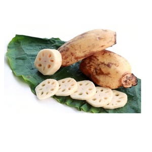 Racine de lotus du Vietnam, fraîche et surgelée - Product Image 3