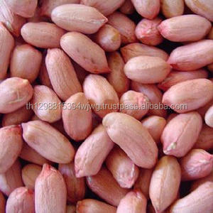 BONNES graines de tournesol à l'huile noire en gros - Product Image 6