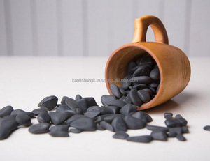 Shungite/Schungit 2-4 cm 4-6 cm 6-8 cm non poli galets shungite - Product Image 1