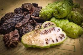غابة نوني ، موريندا سيتريفوليا بسعر رخيص ، جاف بالماكينة - Product Image 6