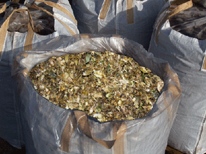 Silage de maïs du Vietnam - Bagasse de canne à sucre - SILAGES pour CHEVAUX - Product Image 4