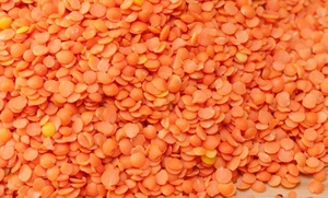 High Quality South Africa <b>Red</b> Lentils / Split <b>Red</b> Lentils Bulk Dried Available for Sale at Low Price. Hot Sale - Product Image 4