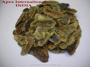 Vainas de Senna Cortadas en T, Vainas de Senna Secas, Producto Agrícola Natural - Product Image 6