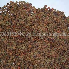 GOOD Wholesale Thai Hot Sale Organic MC Green <b>Lentils</b> Price - Product Image 4