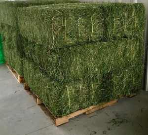 Heno de Timothy/Alfalfa/Lucerna 100%, Pacas de 20kg-25kg - Product Image 1