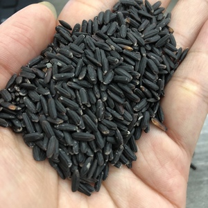 Riz coréen noir nourrissant, haute qualité - Product Image 1