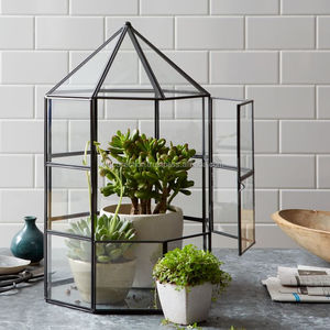 High Quality Indoor <b>Plant</b> Metal <b>Frame</b> Geometric Glass Terrarium - Product Image 2