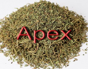 Bacopa Monnieri Bacopa Jal Brahmi,ทั้งต้นพืชแห้งสมุนไพร Bramhi - Product Image 3