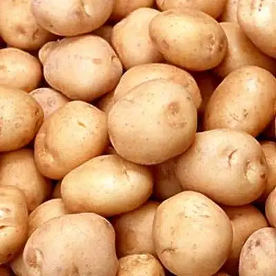 Diamante fresco patate acquirenti/new potato importatore in Turchia prezzo