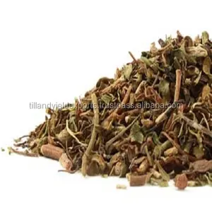 Bacopa Monnieri de hierbas de origen indio, venta al por mayor, hojas de Brahmi a bajo precio