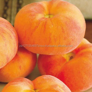 Duraznos Enlatados / Conservación en Agua / Certificación HACCP / Sudáfrica / EN VENTA - Product Image 1