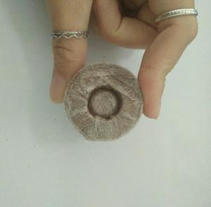 มะพร้าวมะพร้าว Cocopeat,ต้นมะพร้าว,เม็ดมะพร้าว - Product Image 3
