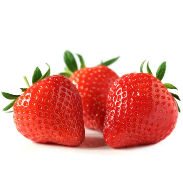100% Pure Strawberry Essential Oil Available for Bulk Purchase