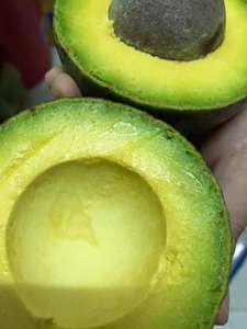 อะโวคาโดสดคุณภาพสูงจากเวียดนาม / อะโวคาโดแช่แข็ง +84-845-639-639 - Product Image 5