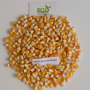 Exportador de Maíz Amarillo Seco para Consumo Humano y Animal, Alimento para Animales con Alto Contenido de Proteínas, Envasado en Bolsas - Product Image 1