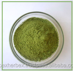 Bột Lá Indigo Indigofera Tinctoria Lá Bột - Product Image 4
