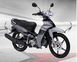 มอเตอร์คุณภาพสูง110cc ผลิตในเวียดนาม (เทา/ขาว) - Product Image 6