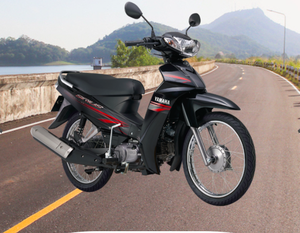 Bicicleta de motor, fabricada en Vietnam, la mejor oferta - Product Image 2